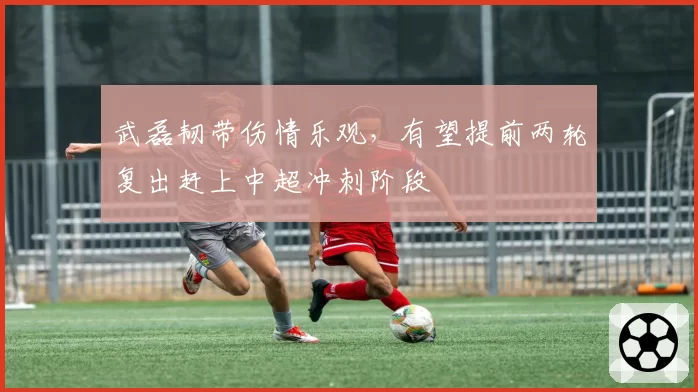 武磊韧带伤情乐观,有望提前两轮复出赶上中超冲刺阶段