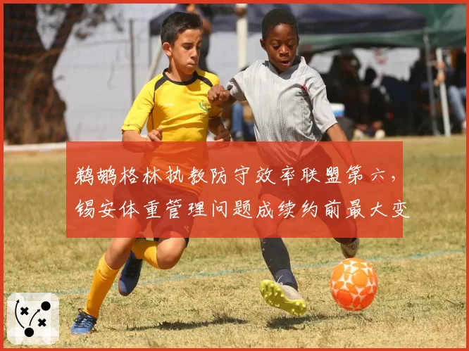 鹈鹕格林执教防守效率联盟第六，锡安体重管理问题成续约前最大变数