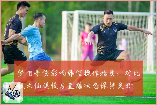 梦泪手伤影响韩信操作精度，对比张大仙退役后直播状态保持良好