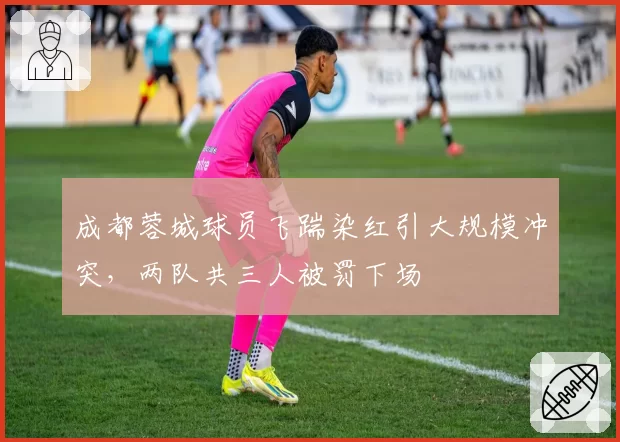 成都蓉城球员飞踹染红引大规模冲突,两队共三人被罚下场