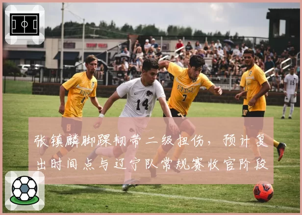张镇麟脚踝韧带二级扭伤,预计复出时间点与辽宁队常规赛收官阶段重合