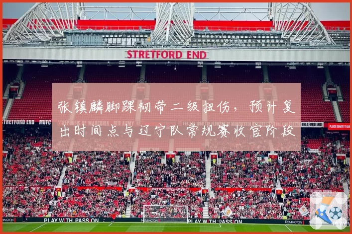 张镇麟脚踝韧带二级扭伤,预计复出时间点与辽宁队常规赛收官阶段重合