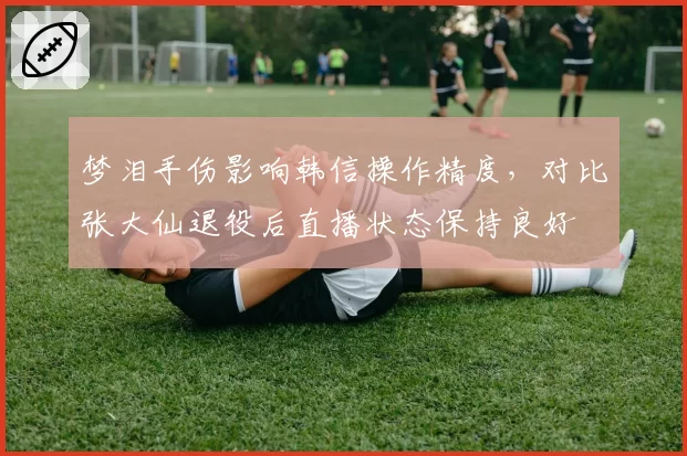 梦泪手伤影响韩信操作精度，对比张大仙退役后直播状态保持良好