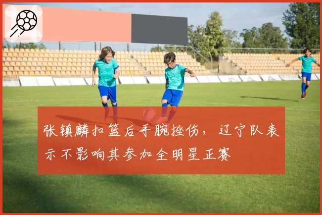 张镇麟扣篮后手腕挫伤，辽宁队表示不影响其参加全明星正赛