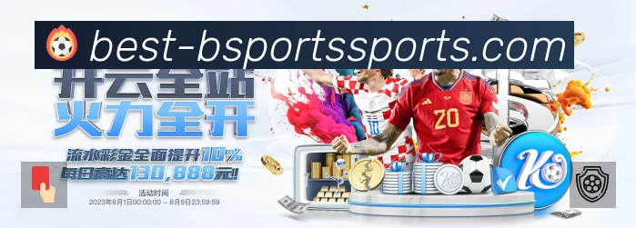 B体育 Sports 官方视觉图